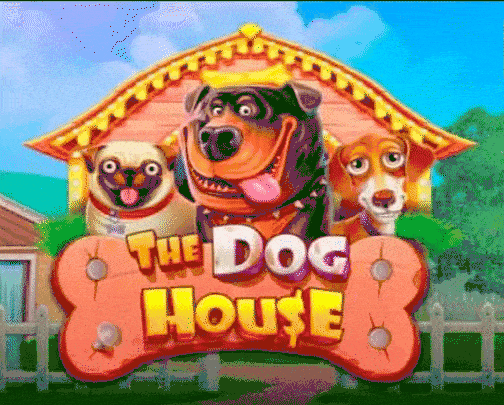 play the dog house in dazardbet casino